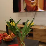 Apartmán Nowa