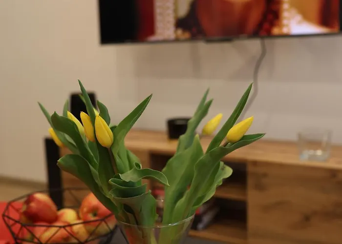 Апартаменты Nowa